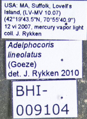 Media type: image;   Entomology 619499 Aspect: labels